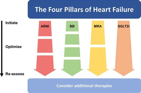 4 pillars of heart failure gdmt